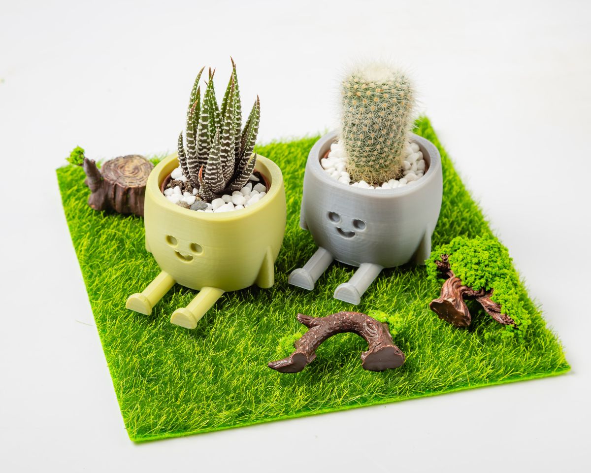 多肉微笑小盆栽