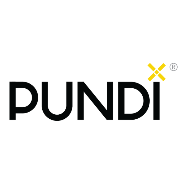 Pundi X logo